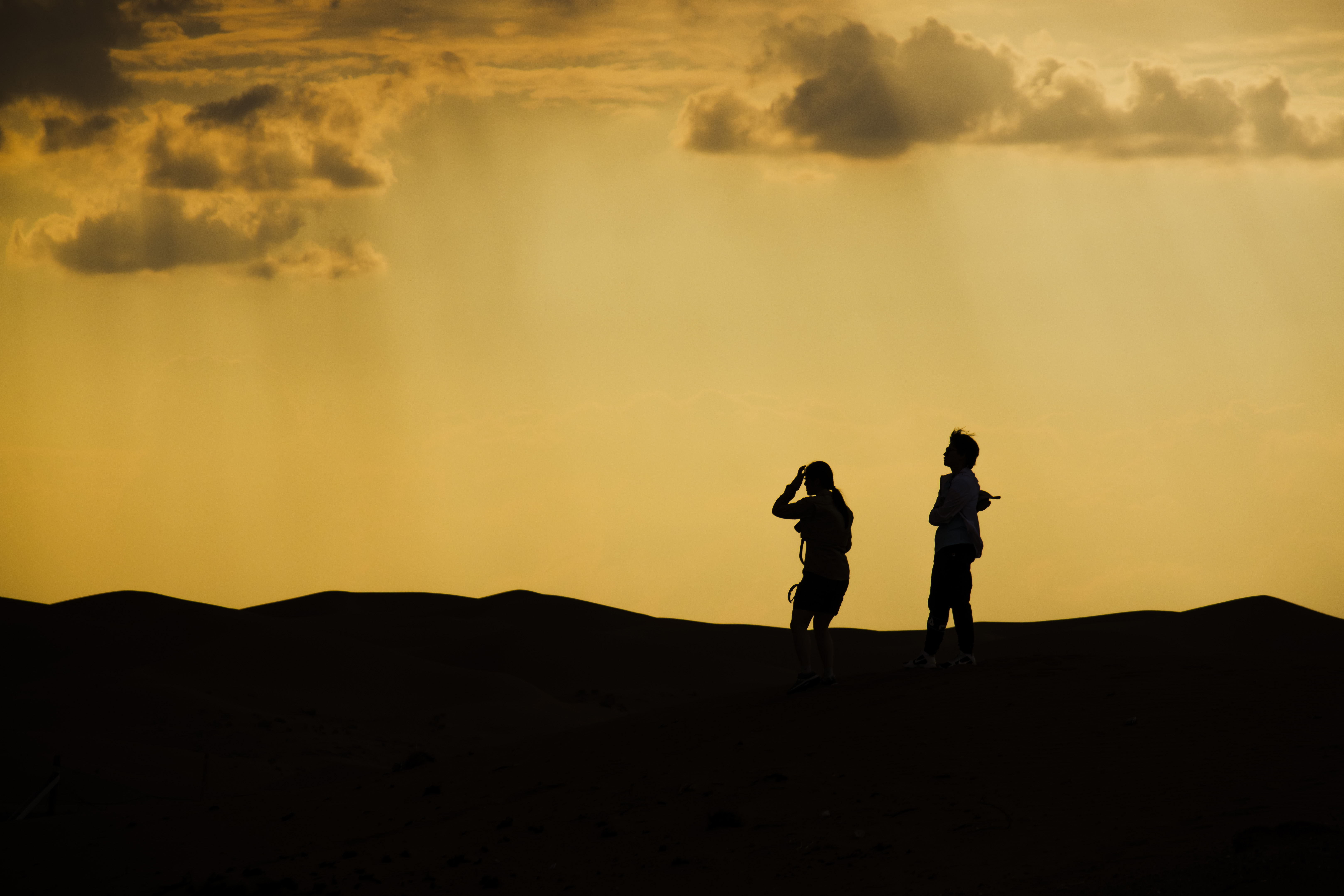 Silhouettes at Dusk